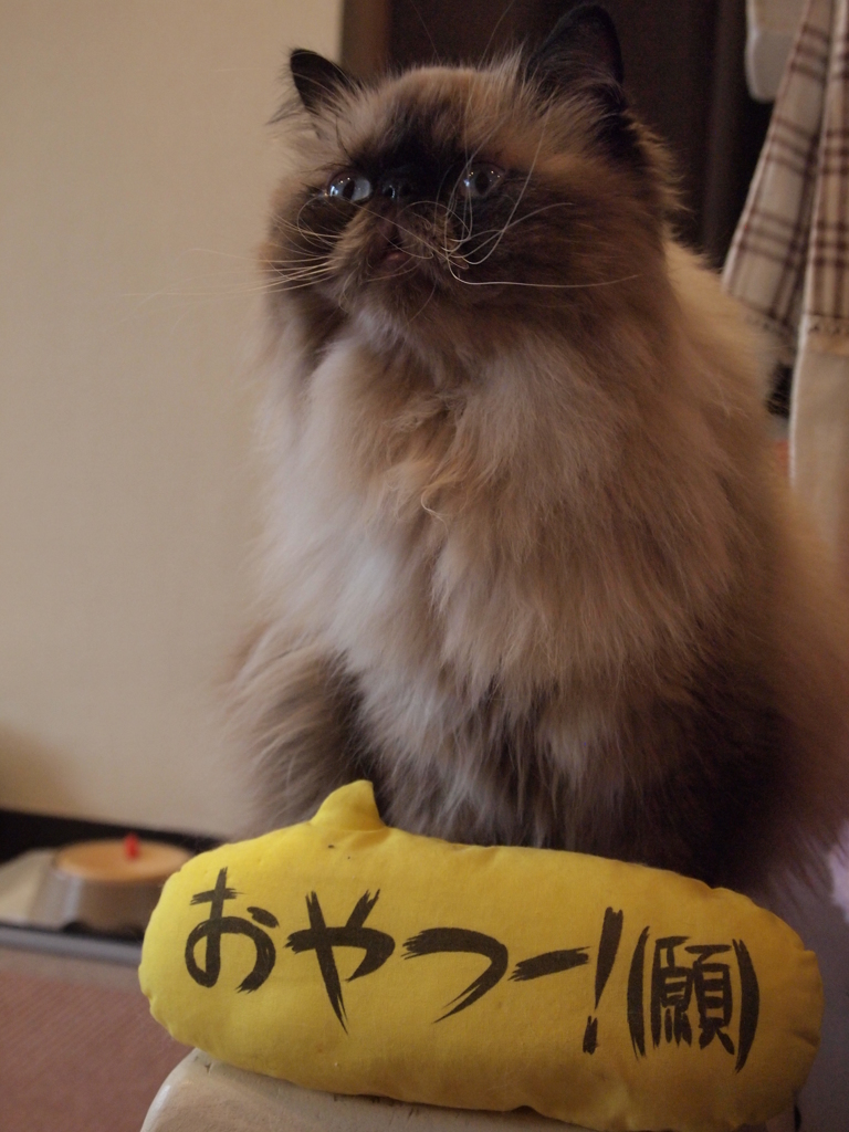（願）
