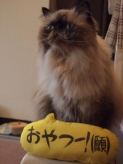 （願）
