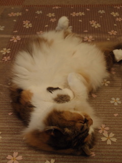 リラックス