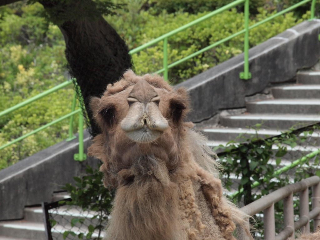 ん？