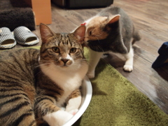 ①ねぇねぇ！！　聞いて！！