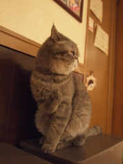 1…2…あれ？