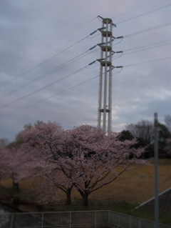 桜塔