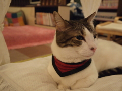 穏