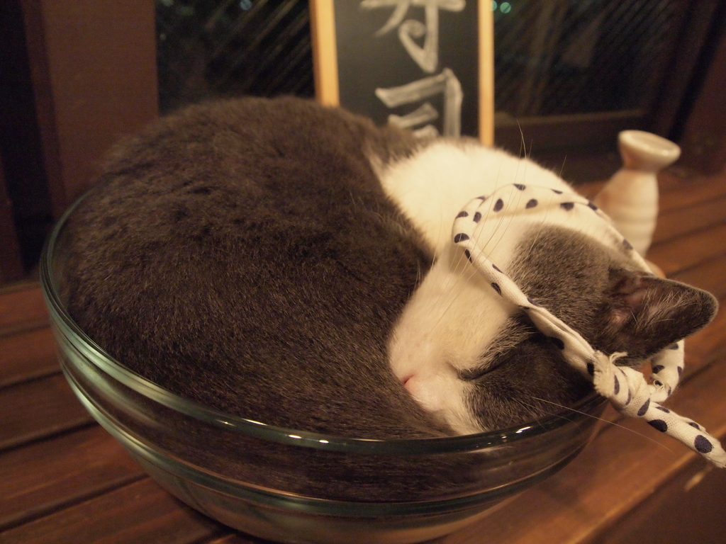 うーん　もう食べられない