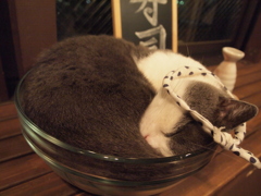うーん　もう食べられない