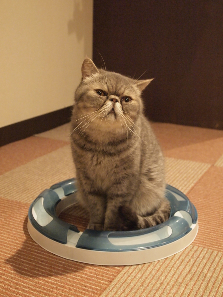 納