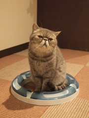 納