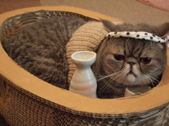 酔
