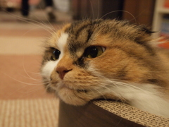 ん？