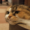 ん？