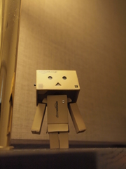 光