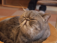 うーむ