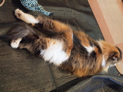 ばーん