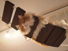 リラックス