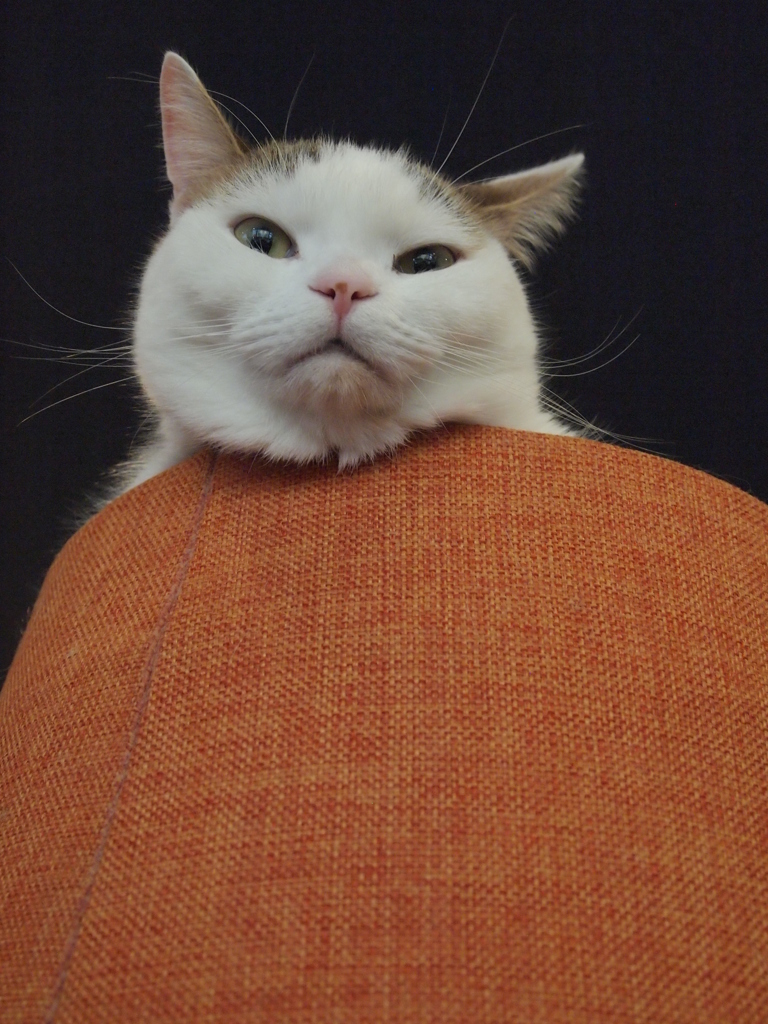 ？
