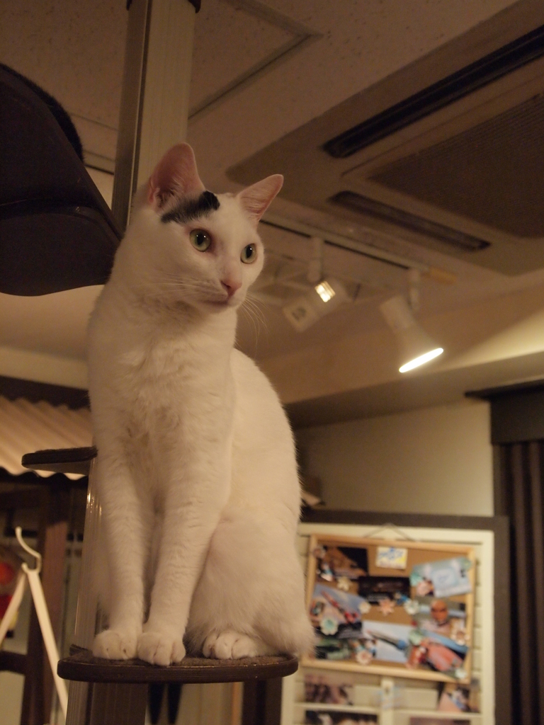 視線