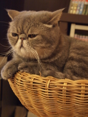 ふぅ