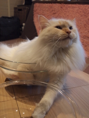 うーん・・・