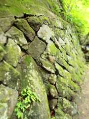 緑