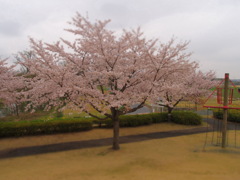 佇