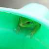 かくれんぼ
