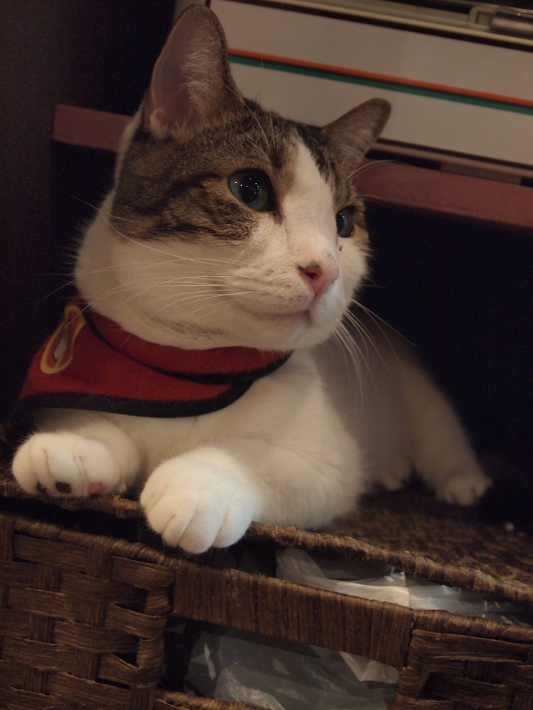 じー