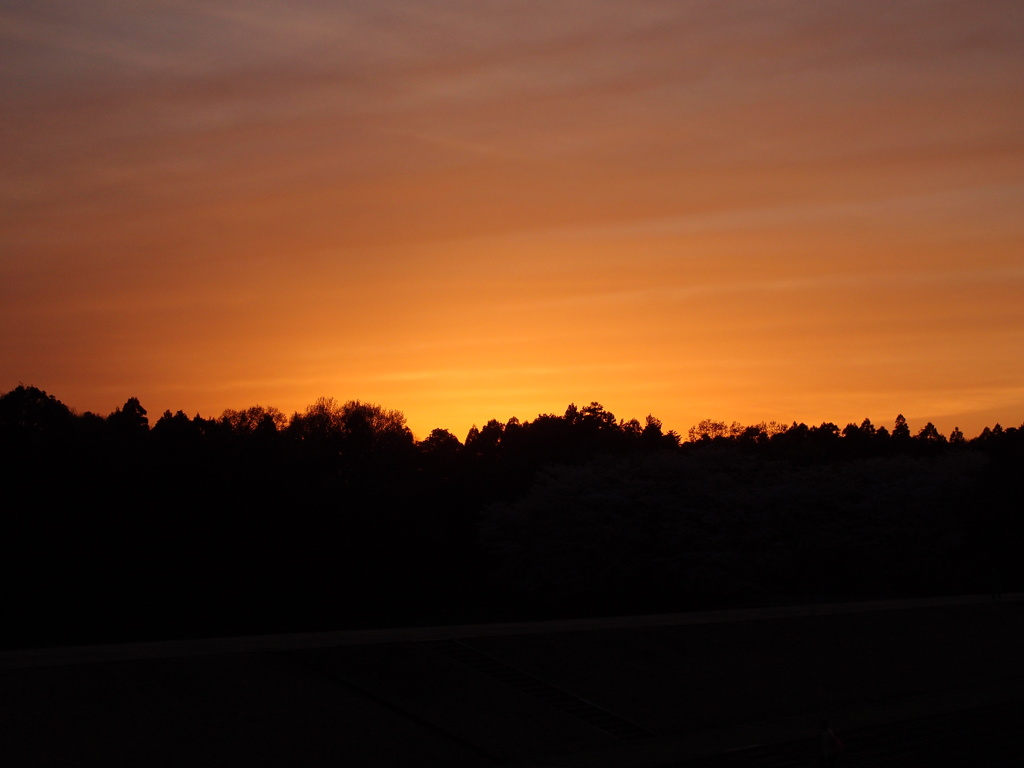 夕日