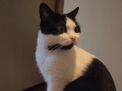 ビックリ