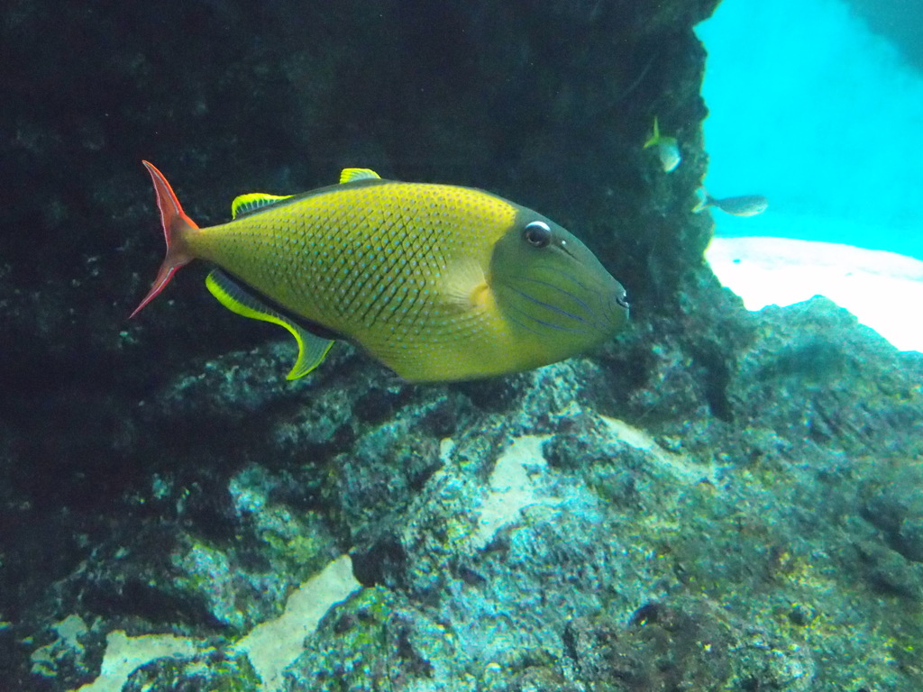 不満顔