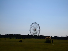 游