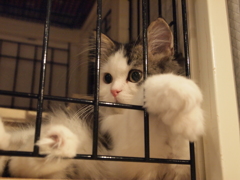 休憩