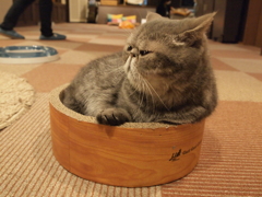 平