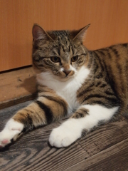 ふぅ