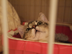 じとー