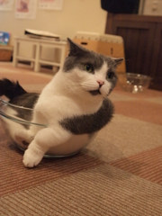ズイッ