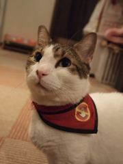 じー