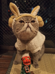 ぬーん