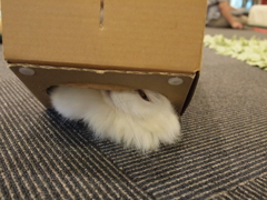 覗