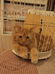 ふぅ・・・