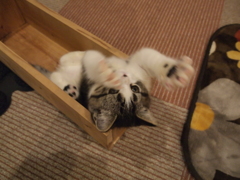にゅっ