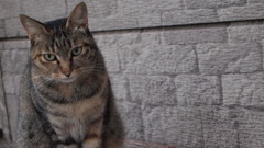 行動②見つめる