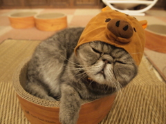 寝てる間に…新年？
