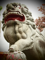 阿形