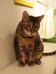 じっ