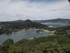 海