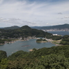 海