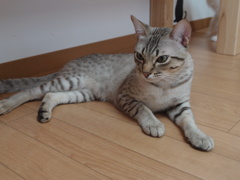じ・・・