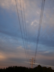 電線と電柱