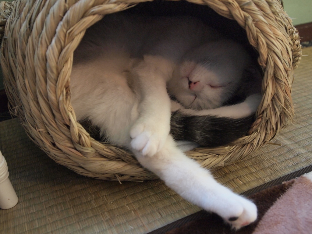 はみ出し